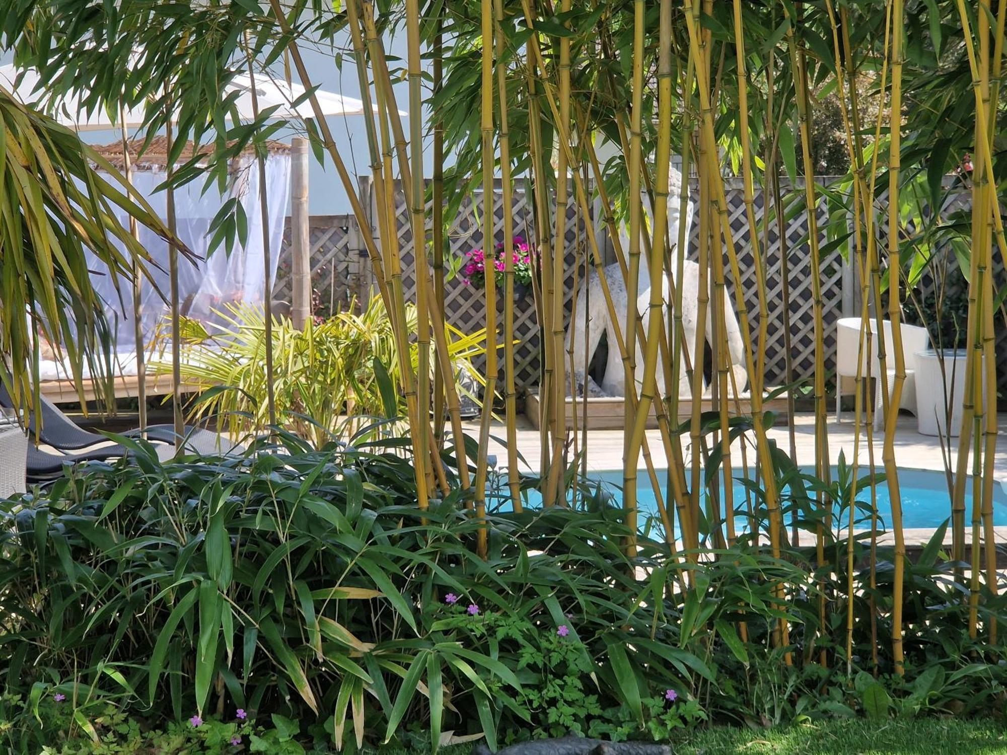 La Serenite Balinaise, Chambre Et Sdb Privee, Jardin , Piscine Et Jacuzzi En Saison, Pres De Chantilly, Parc Asterix Et Cdg Et Paris En 20' Orry-La-Ville Exterior foto